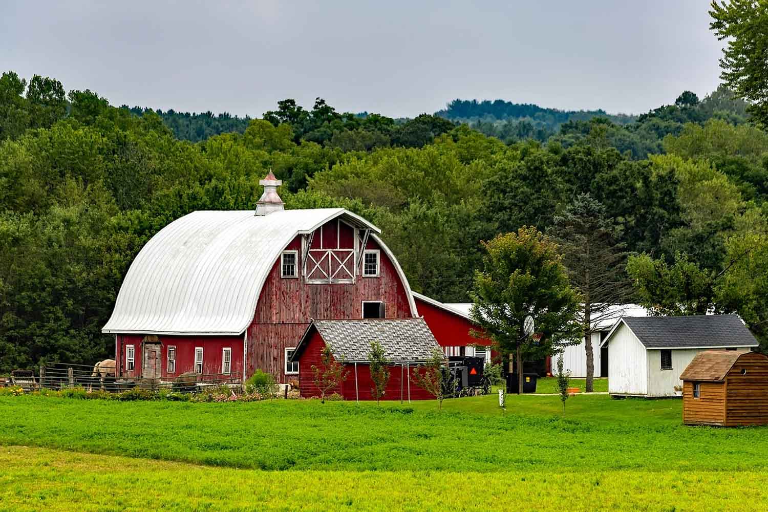 Amish Community Grieves as Police Search for Clues in Murder of Pregnant Mother of Two