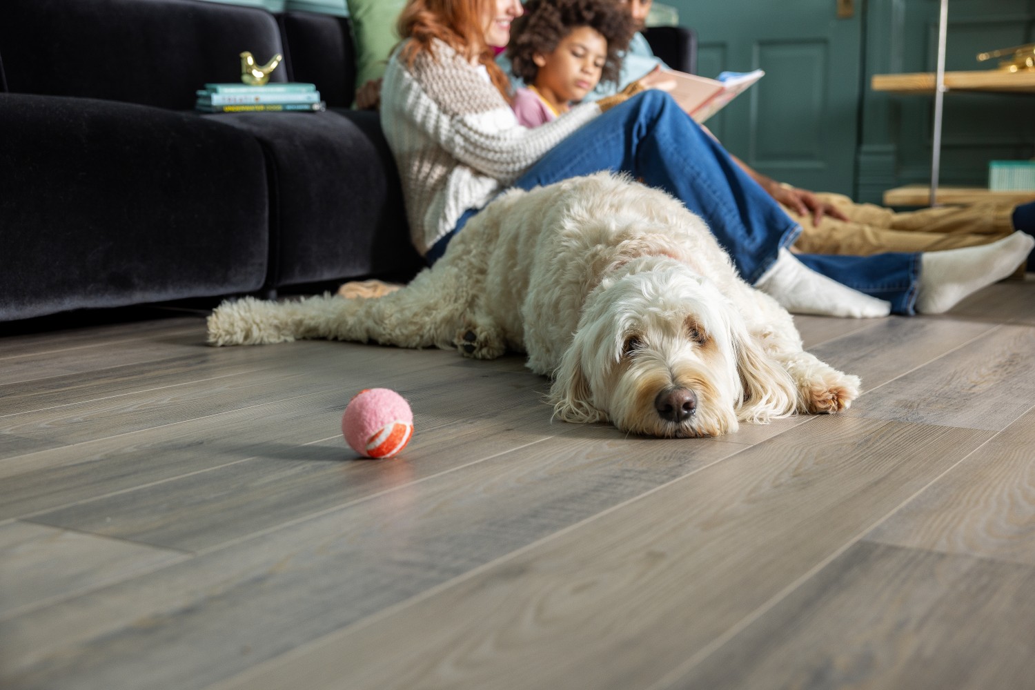 SPONSORED: McMillen’s Carpet Outlet Expands COREtec Luxury Vinyl Plank Selection
