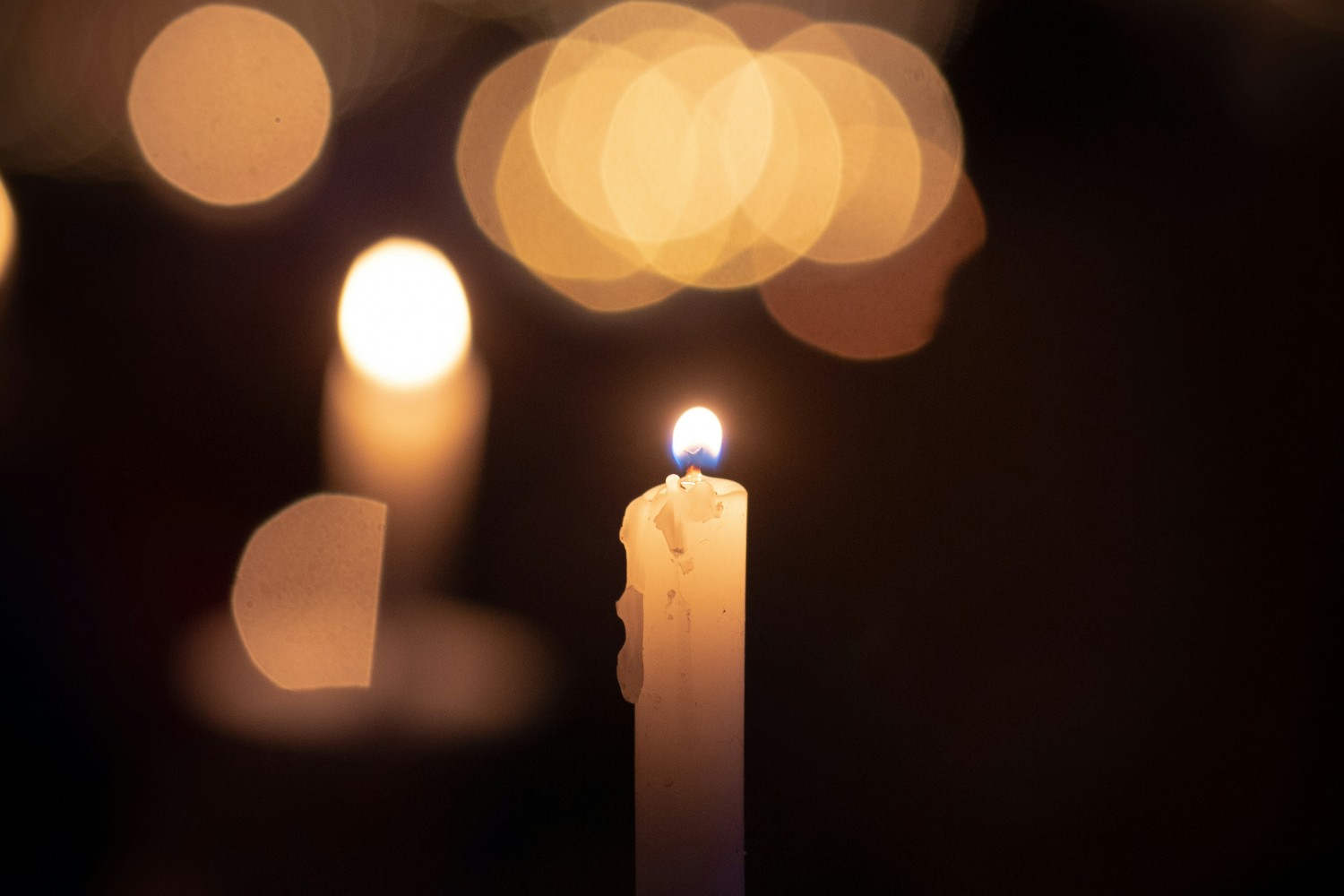 Honoring Lives, Embracing Memories: Clarion Forest VNA’s 32nd Annual Memorial Service Set for October 26