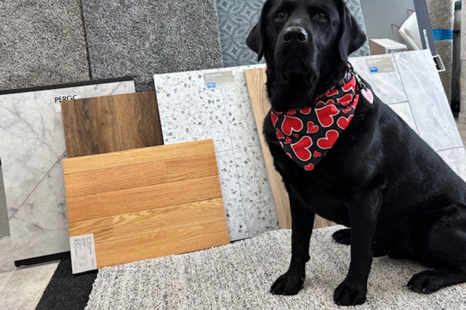 SPONSORED: McMillen’s Carpet & Flooring – We Offer It All